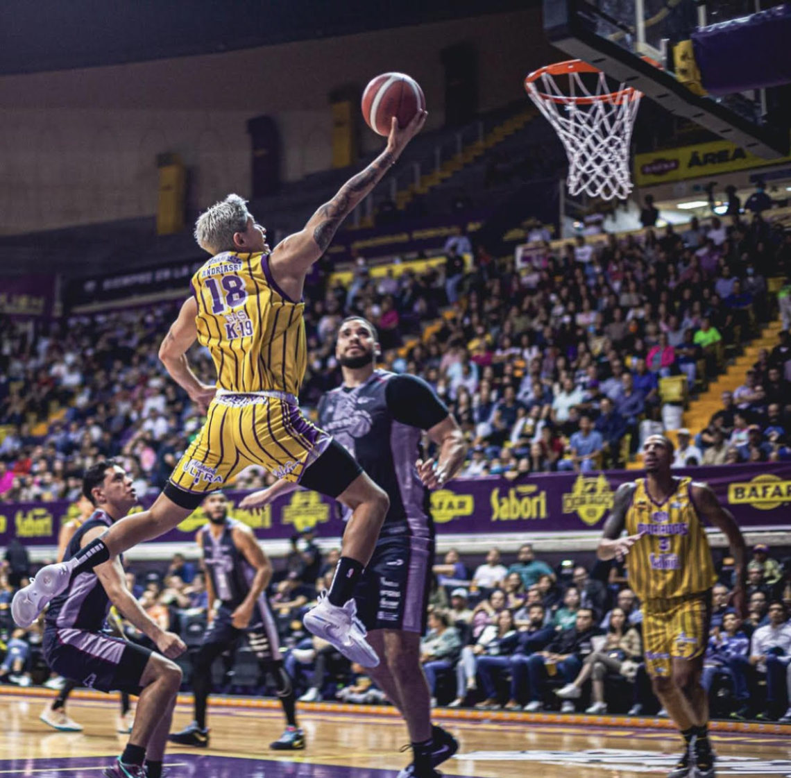 Liga Nacional de Baloncesto Profesional